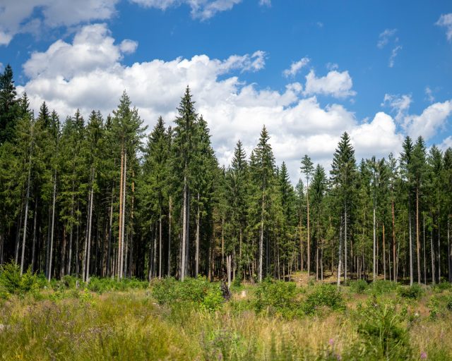 Réflexion sur notre passé