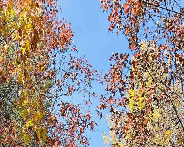 Connect with our community partners.